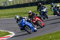 Lower Group Blue Bikes